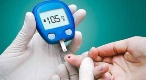 وداعا لـ " السكري ": هذه العشبه الطبيعية السحرية تخفض السكر التراكمي في الدم خلال 5 دقائق فقط بإعجاز رباني في كل دار عربي!!