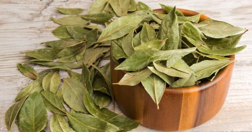 ارجع شباب تاني.. عشبه ورق الغار هترجعك 20 سنة لورا لو عمرك فوق ال 70.. هتندم انك ما كنتش تعرفها من زمان..!!