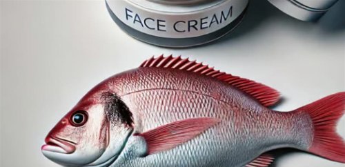 صيحة تجميلية جديدة .. ما علاقة بكتيريا أمعاء الأسماك