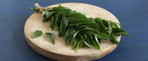 "معلومة مهملة بمليون جنيه يتهاتف عليها الاطباء".. عشبة سحـرية تخفض السكر التراكمي وأقوى الف مرة من إبرة الانسولين!!