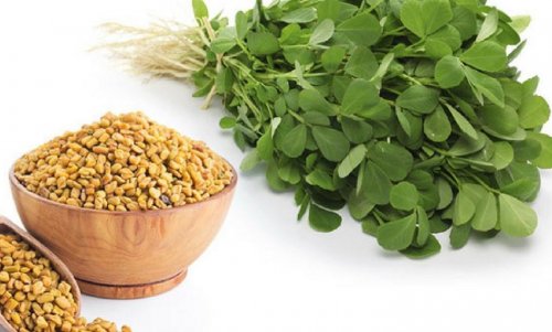 «عشبة في كل المنازل»...مفاجأة صحية من كل مطبخ عربي بذور هذه العشبة الربانية ذات الرائحة النفاذة تخفض السكر التراكمي وتبدد الحصوات في دقائق!!