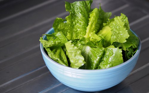 «كلها دلوقتي وانت الكسبان»... أربع فوائد سريه وجباره موجوده في عناصر الخس البري ستملأ الثلاجه منها!!