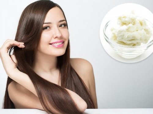 معجزة تأثير كريم زبدة الشيا لشعرك الخشن والمجعد هيخليه ناعم زي الحرير في 30 دقيقة