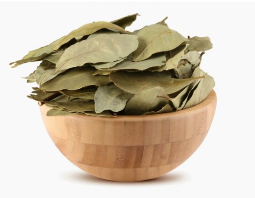 «سر خطير بين ايديك»... عشبة ورق الغار من اغنى الاعشاب عناصر وفوائد نظرا لمحتوياتها التي تقضي على البكتيريا والإلتهابات في الجسم استعمل الوصفه الان!!