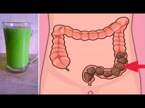 "وداعا لمشاكل القولون نهائيا".. 4 مشروبات طبيعية هتخلصك من مشاكل القولون والبراز المتحجر