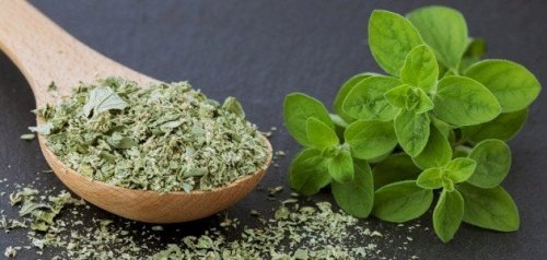 أضرار البردقوش خطيرة توقف عنه فوراً إذا كنت تعاني من هذه الأمراض تحذير خطير