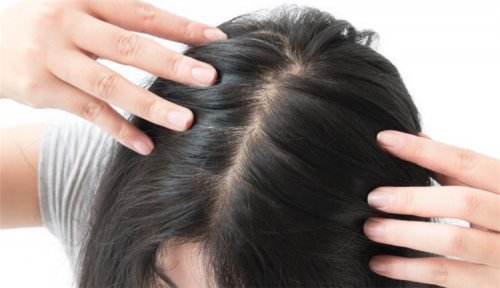 «ضاع عمرك وانتي متعرفيش..!»..احصلي على شعر طويل وكثيف بخلطات طبيعية واستعيدي حيوية شعرك..!