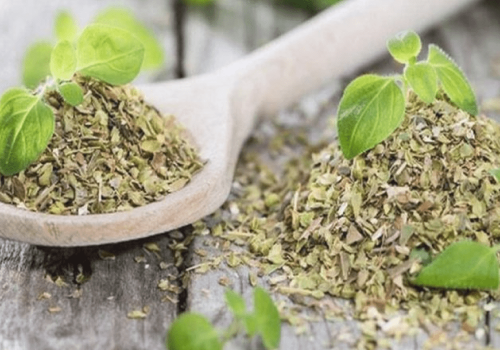 وداعا للأنسولين نهائيا... النبتة الجبارة لخفض السكر التراكمي خلال 30 دقيقة فقط .. معجزة ربانية لمرضي السكر!!