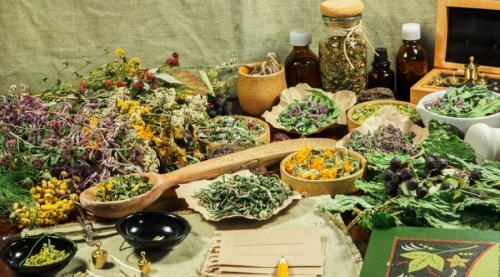 «عشبة من الجنة متوفرة في كل مطبخ».. على الريق تنظف القولون وتخلصك من البراز المتحجر في ثواني | فوائدها لا تعد