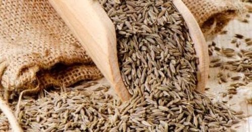 من غير مغص ولا ألم.. عشبة برخص التراب تنظف القولون وتخلصك من سموم الجسم!! طريقة فعالة وآمنة