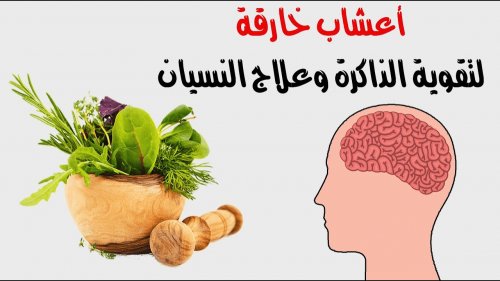 قل وداعاً للنسيان مع 4 أعشاب طبيعية لتقوية الذاكرة.. انت أو ابنك عندكــم ذاكرة حديد