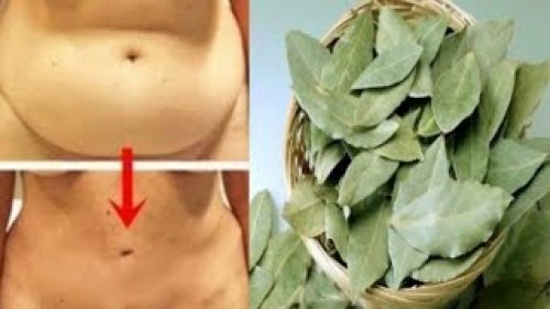 عطار ابن حلال قاللي عليها.. عشبة جهنمية لكنها خارقة وتعيد شبابك حتى لو كنت بعمر 70 سنة.!!