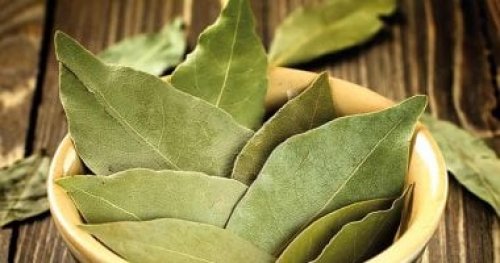 معجزة ربانية بورق الغار الرخيص.. ستجعل بطنك مسطحا وشعرك قوى وكثيف خالي من الشيب ووجهك أبيض ومشدود كالقمر وفي 3 أيام فقط