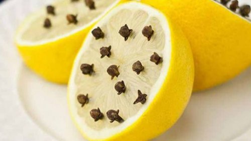 «الناموس بيترعب منه ويهرب»... خلطه القرنفل مع الليمون لطرد الناموس والحشرات التي تسبب امراض خطيره منها التهاب الجلد!!