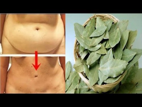 «انسف كرشك».. عشبة سحرية للتخلص من الكرش والوزن الزائد بدون رجيم وبدون رياضة..!! هتندم انك ما كنتش تعرفها من زمان..!!