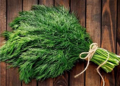 هيخليك زي الحصان في يوم وليلة .. نبات معجزه موجود في مطبخك ولكنه كنز أغلي من الذهب !!.. ازاي عايشين ومانعرفش؟؟؟