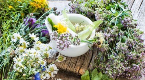 مشروب أعشاب عجيب لعلاج الانتفاخات.. عشبة تقضي على انتفاخ البطن والغازات المتراكمة في البطن!! مشاكل القولون هتنتهي