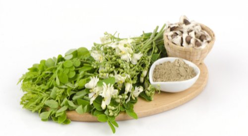 "اكتشاف عشبة صحراوية تتفوق على الإنسولين.. خفض مستويات السكر بقوة عشرين ضعفًا!"