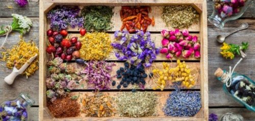 كيف تجذب السعادة والنجاح الى بيتك.. 7 نصائح تجلب الطاقة الايجابية الى منزلك!! انسف الطاقة السلبية