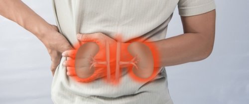 احذر قبل فوات الاوان .. أعراض خطيرة لو ظهرت عليك لا تستهون بها فهي إشارة لإصابتك بالفشل الكلوي .. يجب فعل الآتي فوراً