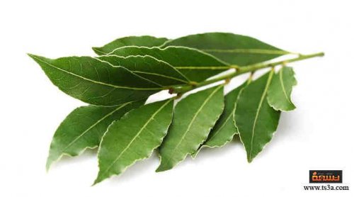 متواجدة برخص التراب عشبة معجزاتها المذهلة كثيرة .. تناولها بهذا الشكل وستعود بك إلى سن الـ 20 حتى لو كنت 70 سنة .. إليكم فوائده الجبارة استغلها!!