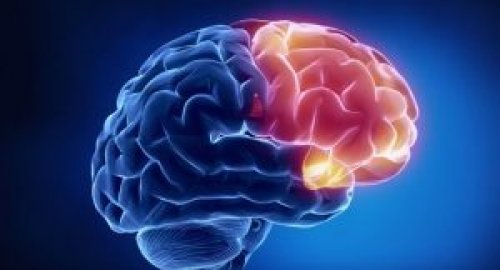 "هتندم لو معرفتهاش!!"… معجزه عندك تمرين لو فعلته ثلاث مرات قبل النوم يحميك من الخرف والزهايمر ويجعل ذاكرتك حديد!!