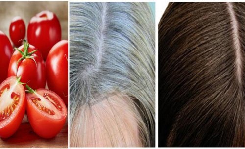 "طبيبة هندية مشهورة قالتلي عليها".. وصفة الطماطم والقهوة للتخلص من الشيب والشعر الأبيض نهائيا.. هيختفي من أول استعمال!