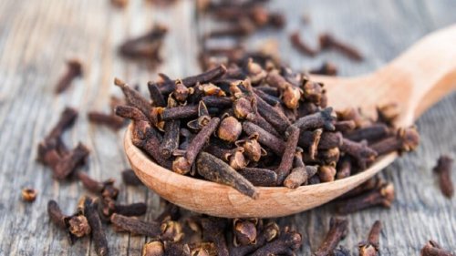 «ضاع عمرنا واحنا منعرفش».. استخدم مسمار واحد من اعواد القرنفل بهذه الطريقة يجعله أقوى أضعاف الحبة الزرقاء المنشطة!!