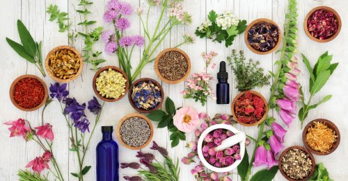 "الندم مش هيفيدك " .. للنساء فقط اعشاب موجودة في مطبخك تسبب الإجهاض فورًا احذري منها قبل فوات الأوان