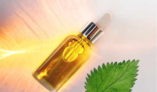 عشبة مرعبة لكن فوائدها مذهلة وغير متوقعة ستبهرك.. استمتعي بشعر ناعم كالحرير من غير بروتين