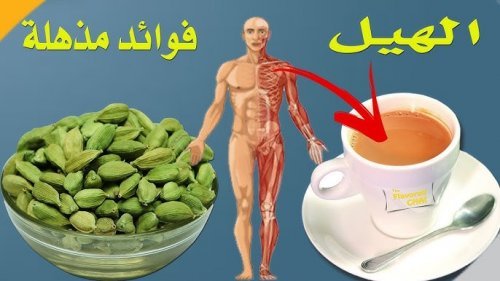 وداعًا للكرش والبطن من النهاردة.. حبة واحدة فقط قبل النوم هتخسس في يوم واحد البطن حتى لو كانت مدلدلةوداعًا للكرش والبطن من النهاردة.. حبة واحدة فقط قبل النوم هتخسس في يوم واحد البطن حتى لو كانت مدلدلة