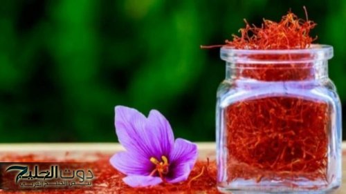 «موجودة في كل منزل»... معجزة العشبة المنسية الجبارة تنشط الذاكرة وتقوي المناعة وتنهي هشاشة العظام حتى ان كنت بعد الستين سنة وعلى العكاز..لا تتجهلها!!!؟