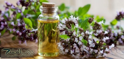 عشبة سحرية تكشف عن كنز مخفي: استخلصي مادة باهظة الثمن بسهولة من مطبخك