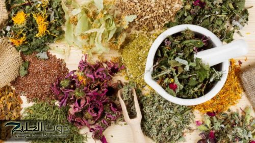 " هذا سر رشاقتى وجمالى " نادين نسيب تكشف عن عشبة سحرية موجودة في كل بيت.. تذيب دهون الكرش العنيدة؟ وصفة مضمونة 100%