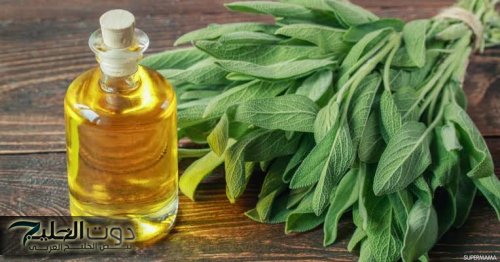 "نازله من السما" … عشبة معجزه رخيصة الثمن متوفرة في كل مطبخ تعالج النقرس وآلام المفاصل ولها فوائد اخرى لا تخطر علي بال الجن الأزرق!!!.. تعرف عليها