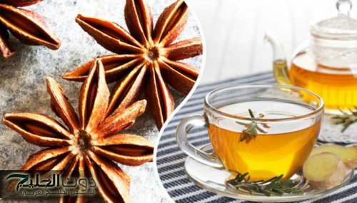 «ضاع عمرنا واحنا مش عارفين حاجة»....عشبة خارقة لكنها مهملة تقضي على السعال والزكام بلحظات.. تعرف عليها اليوم لن تندم!!!؟