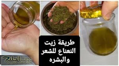 ازاي مكناش نعرفه طول حياتنا!!".. لو عندك " نعناع ناشف " اوعي تستغني عنه تاني خلاص هخليك هتعمل بيه اختراع جنوني.. "فكرة تسـاوي مليون ريال