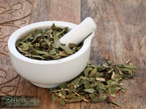 معجزة محدش يتوقعها !! عشبة الزاز سر جمال الشعر والصحة ! هتنبهر !