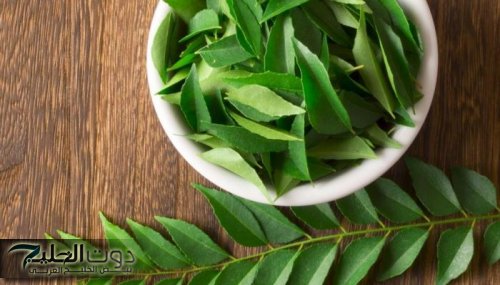 "معجزة عجيبة من الباري لعباده!".. عشبة جبلية تمتص السكر في الدم.. وهي أقـوى سبعين مرة من إبر الانسولين.. تعرف عليها.!