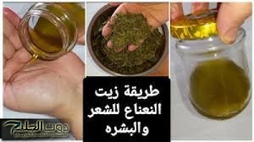 ازاي مكناش نعرفه طول حياتنا!!".. لو عندك " نعناع ناشف " اوعي تستغني عنه تاني خلاص هخليك هتعمل بيه اختراع جنوني.. "فكرة تسـاوي مليون ريال