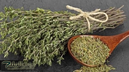 اكتشفي بنفسك السر .. أضف الزعتر إلى مشروبك الليلي وستلاحظ الفرق في صحتك صباحًا!