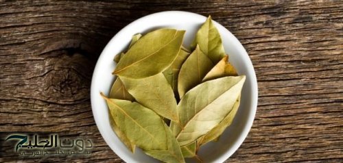 للشيخوخة والخرف.. الحل المثالي الجبار في ورق الغار تناوله بتلك الطريقة ورجع شبابك حتى لو عمرك فوق 70 سنه وعلى عكاز.!!