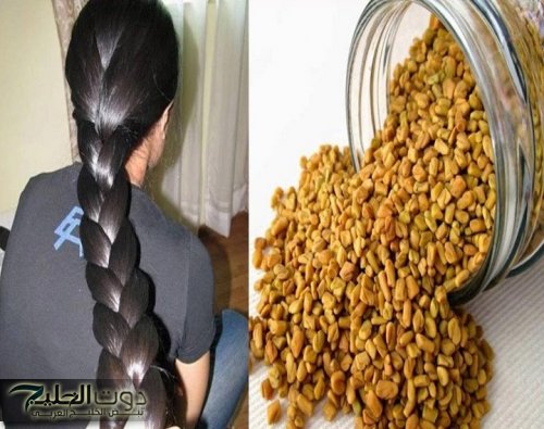 ماتشيليش هم لو شعرك قصير.. استخدمي وصفة الحلبة لتطويل الشعر وتكثيفه وانبات الفراغات وعلاج التساقط نهائيا!!