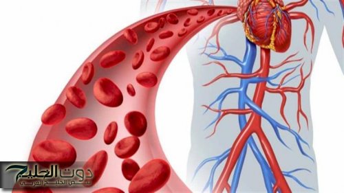 مشروب سحري لم تسمع عنه.. كوب واحد من هذا المشروب لتنظيف الشرايين ومكافحة السرطان.. موجود في مطبخك