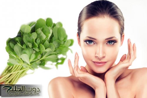 هتصغري 20 سنة وتبقي ملكة جمال!! عشبة سحرية مميزة جدًا.. اعرفيها دلوقتي واستفيدي منها ورجعي لوشك حيويته