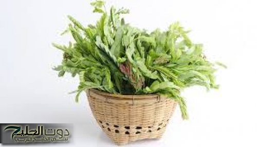 احذر ثم احذروا مهما كنت تحبه انتبة ولا تشربه..هذا المشروب اللذيذ الطعم يرفع السكر بالدم بجنون ويسبب فشل كلوي فوراً!!