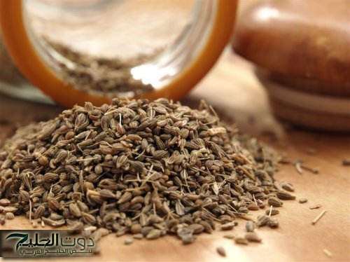 «عشبة من الاعشاب الخارقه نازله من السما علينا عدل».... تقضي على السعال والزكام بلحظات..تعرفوا عليها واحرصوا عليها!!!؟