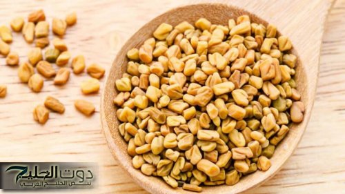 «العشبة الربانية الجبارة»… أعشاب طبيعية للتخلص من الدهون المتراكمة وتعديل مستوي الكوليسترول في الدم… جربها دلوقتي ومش هتندم!