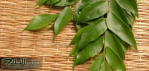 "جربيها وهتدعيلي"... طرق مذهلة لعلاج مشاكل الهضم والقولون باستخدام أعشاب طبيعية جربها بهذه الطريقة لمدة أسبوع