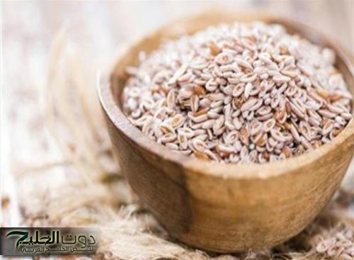 هتخسي 10 كيلو في اسبوعين وانتي نايمه!!.. وصفة مدمره للتخسيس السريع وتقليل الوزن الزائد بدون رجيم وبأقل مجهود بشكل آمن بمكون واحد فقط